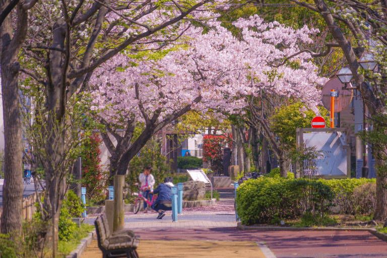 住みやすい駅3選